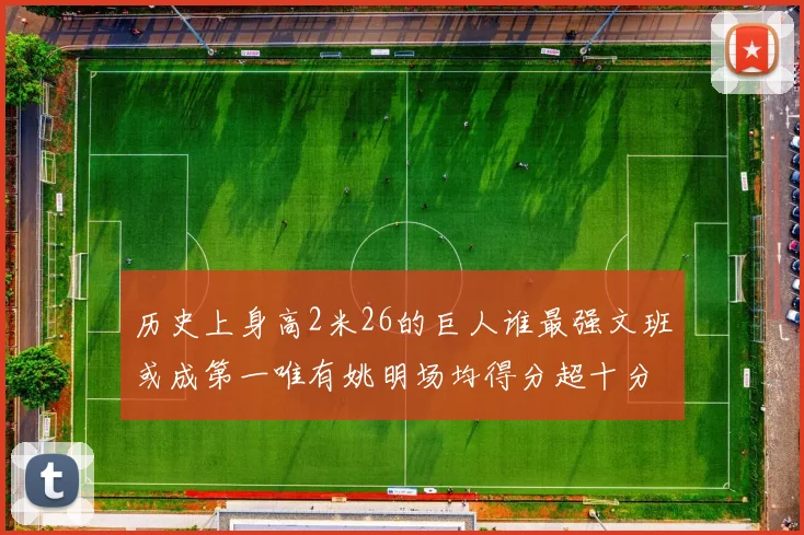 历史上身高2米26的巨人谁最强文班或成第一唯有姚明场均得分超十分