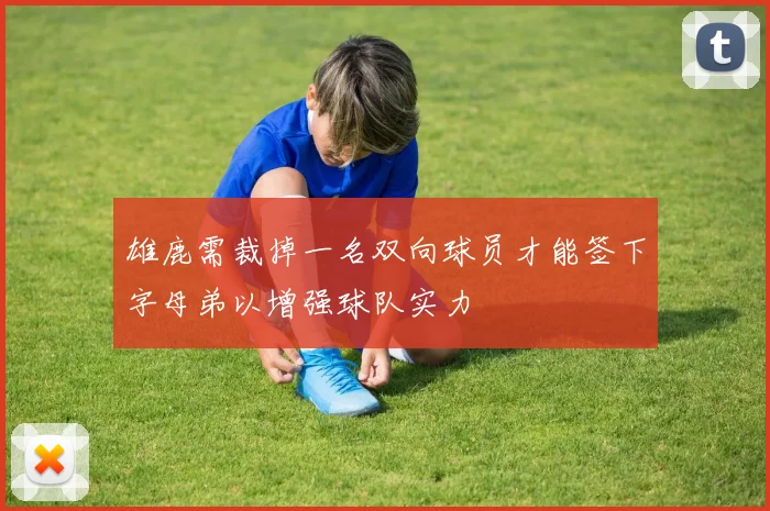 雄鹿需裁掉一名双向球员才能签下字母弟以增强球队实力