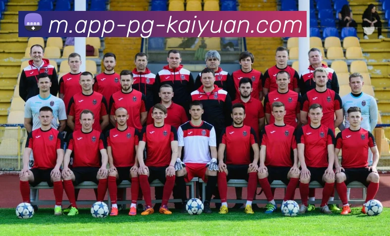 App Interface Preview