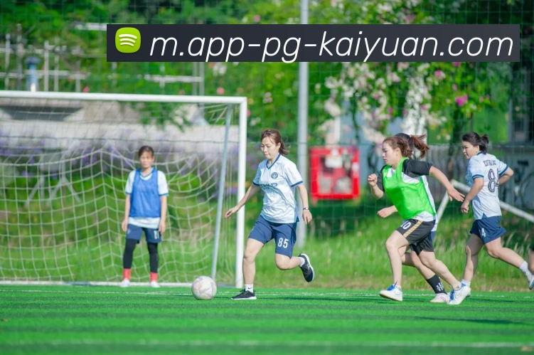 开元体育APP 封面图